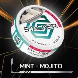 STALKER 200mg - MINT - MOJITO